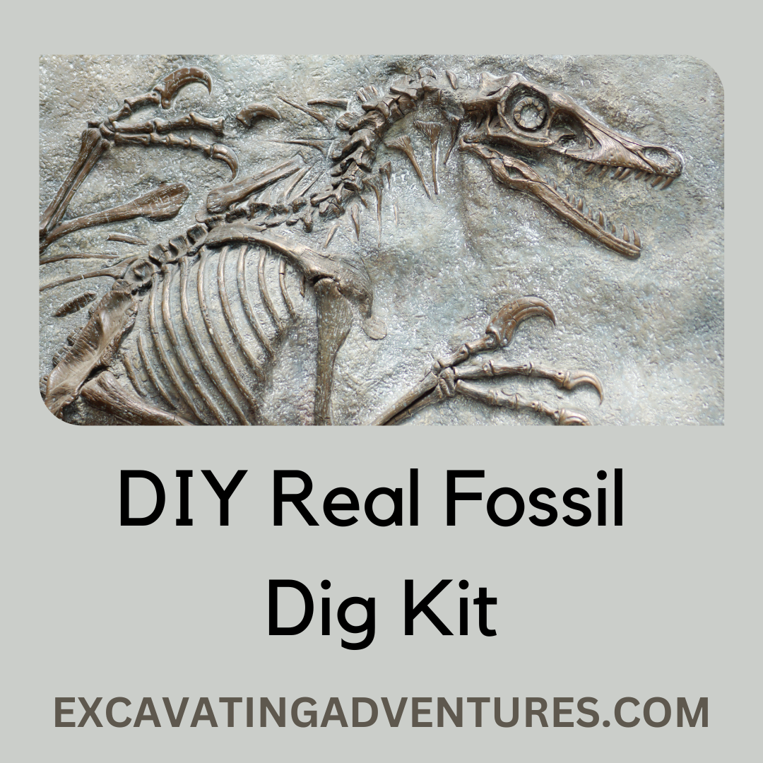 Homemade geology dig 2024 kit