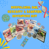 Morphlings: DNA, Heredity & Genetics Excavating Adventure