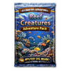 Reef Creatures Adventure Pack - Reef Riddle