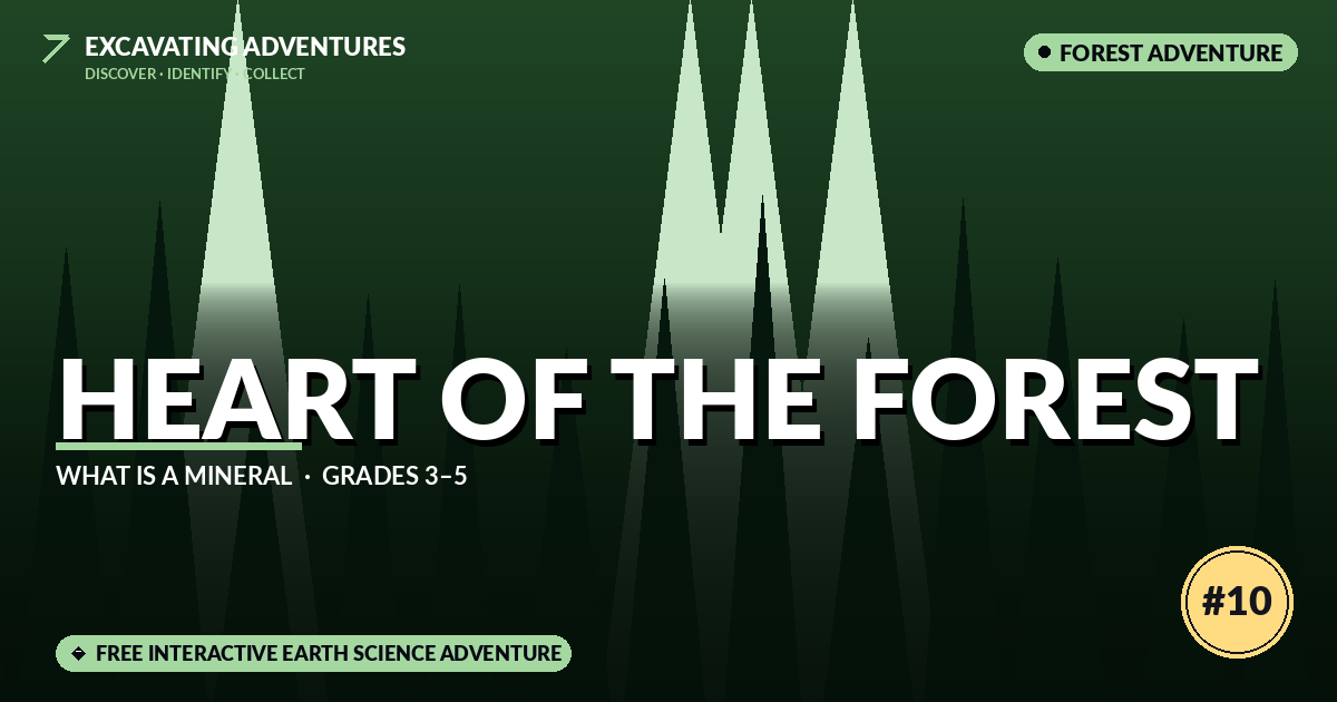 Heart of the Forest: What is a Mineral Adventure