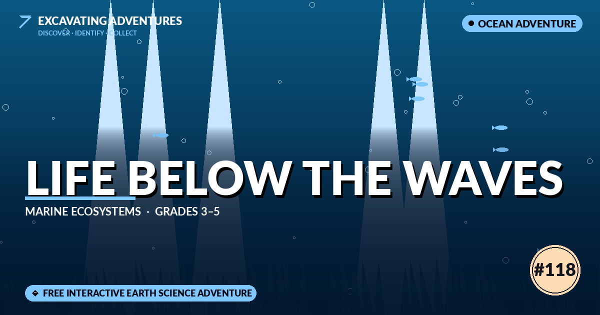 Life Below the Waves: Marine Ecosystems Adventure