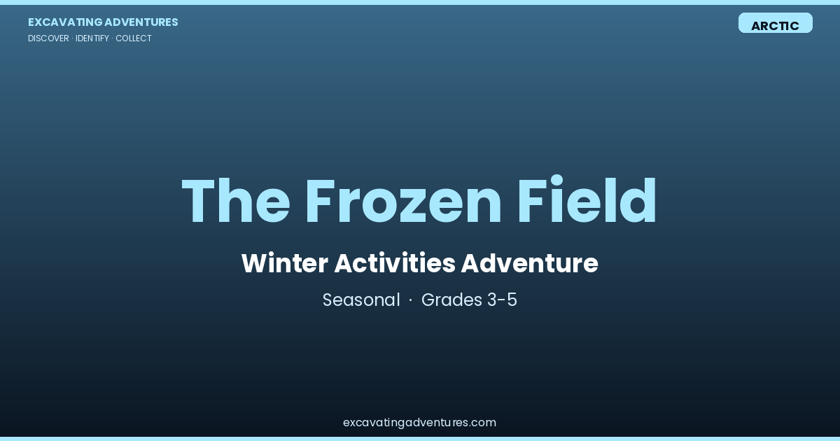 The Frozen Field: Winter Activities Adventure