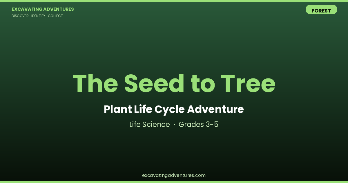 The Seed to Tree: Plant Life Cycle Adventure