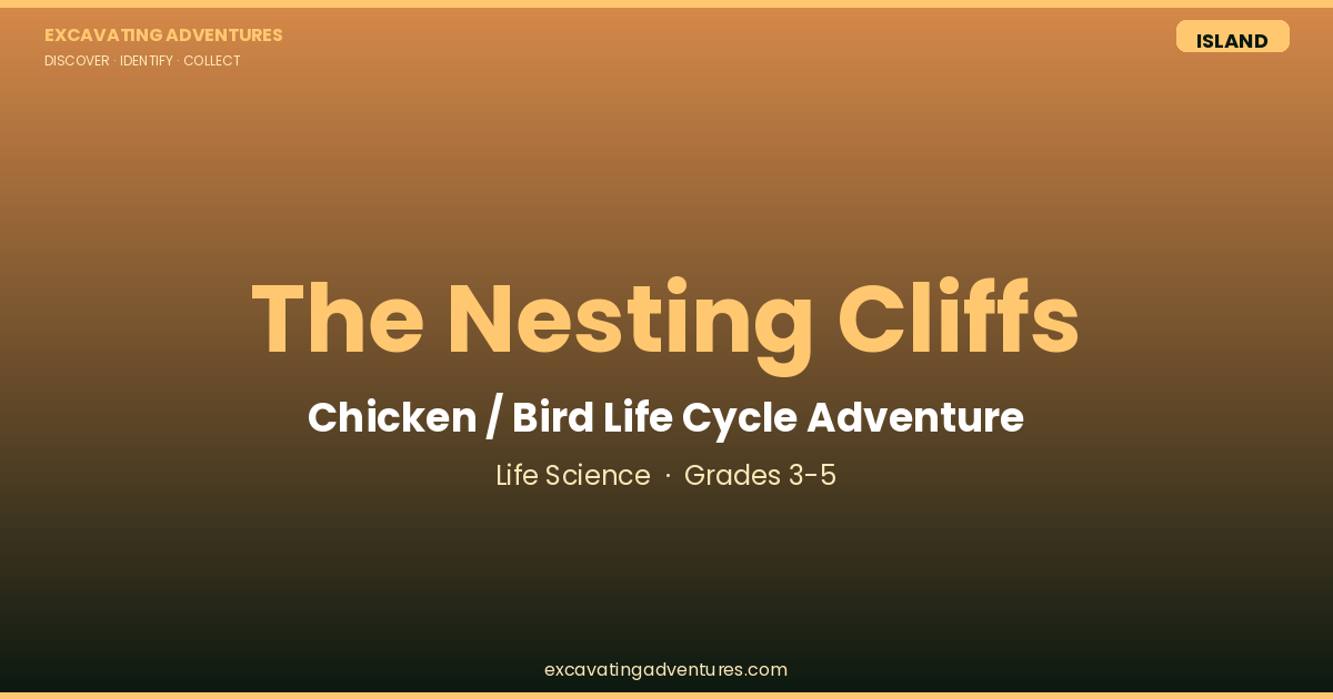 The Nesting Cliffs: Bird Life Cycle Adventure