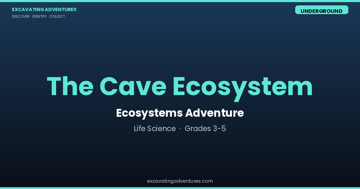 The Cave Ecosystem: Ecosystems Adventure