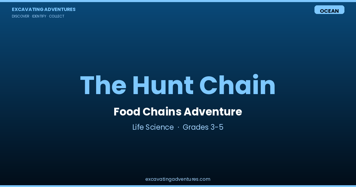 The Hunt Chain: Food Chains Adventure