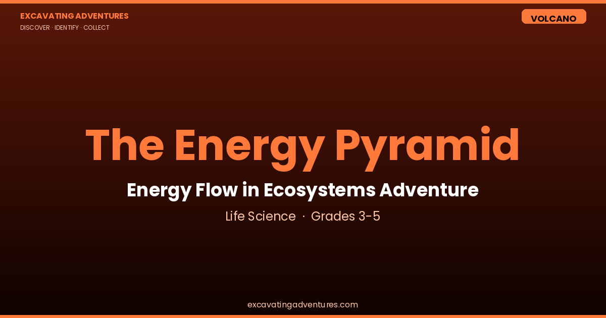 The Energy Pyramid: Energy Flow Adventure