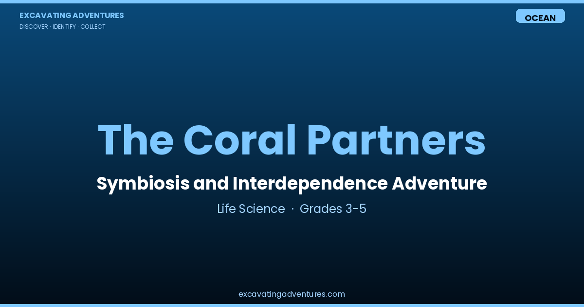 The Coral Partners: Symbiosis Adventure