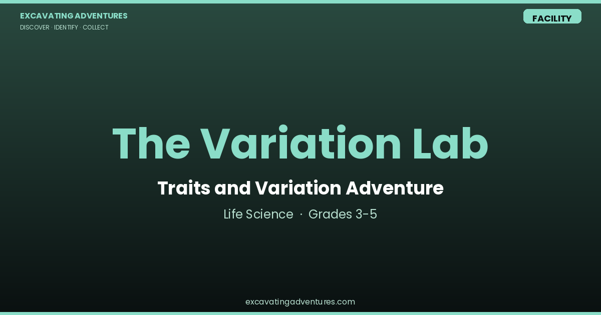 The Variation Lab: Traits and Variation Adventure