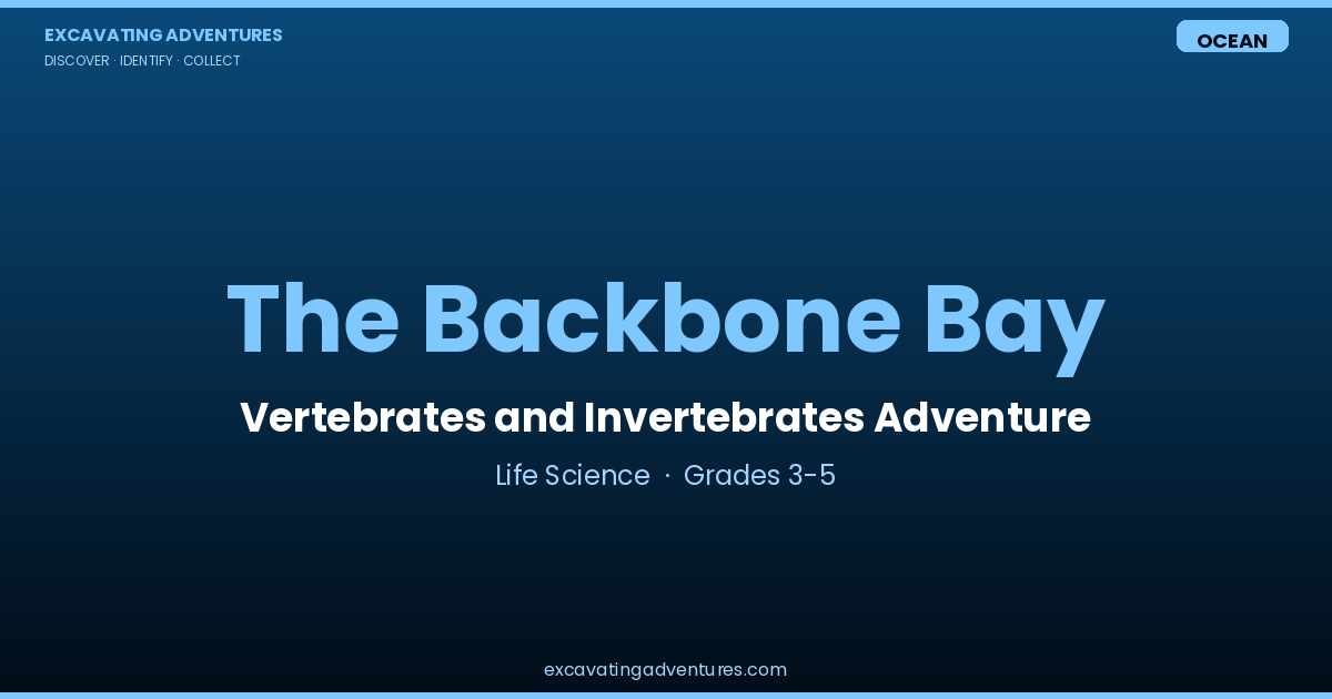 The Backbone Bay: Vertebrates and Invertebrates Adventure