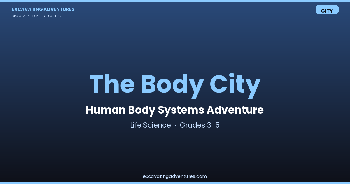 The Body City: Human Body Systems Adventure