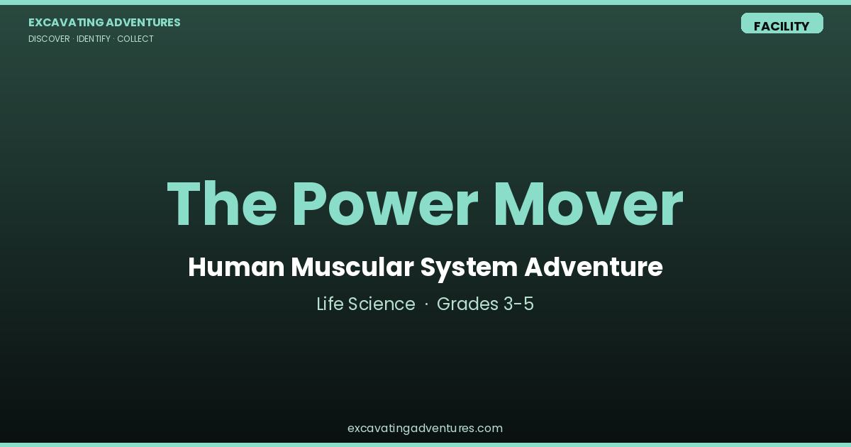 The Power Mover: Muscular System Adventure