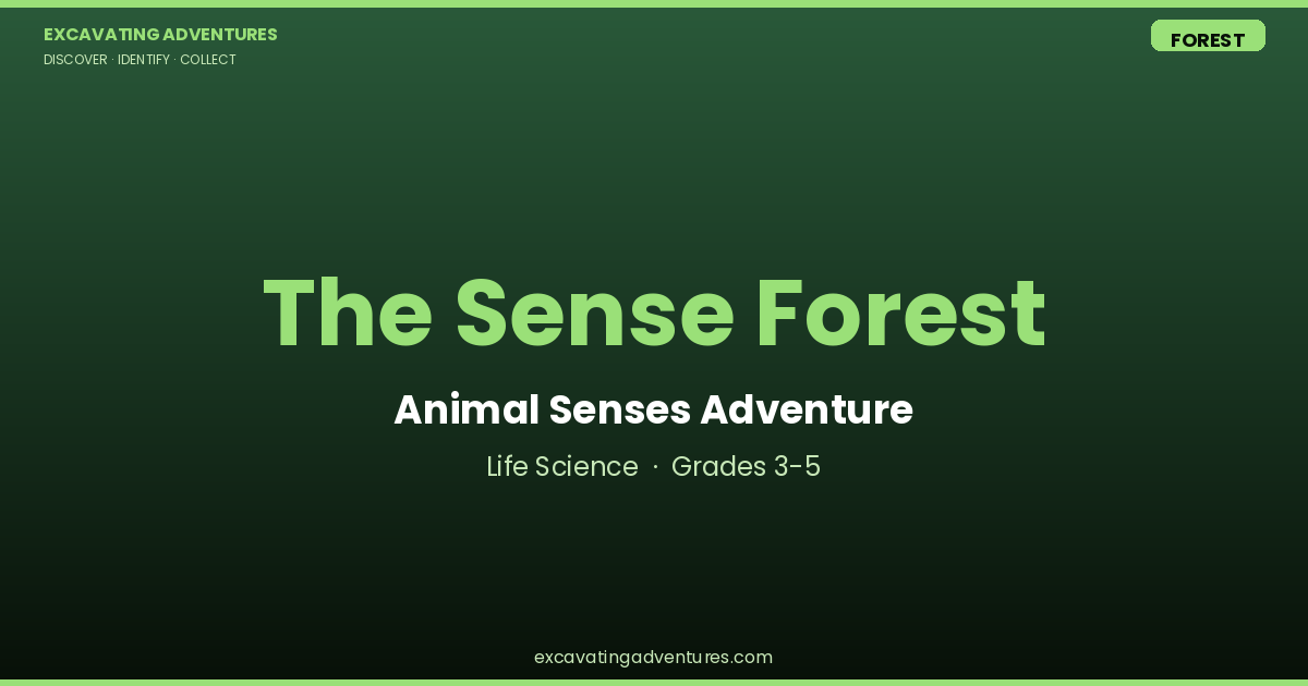 The Sense Forest: Animal Senses Adventure