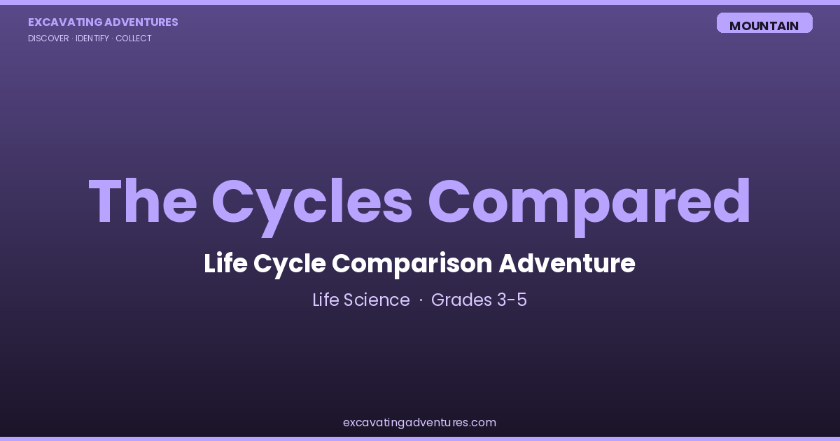 The Cycles Compared: Life Cycle Comparison Adventure