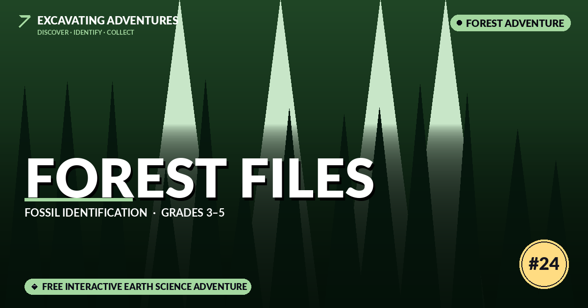 Forest Files: Fossil Identification Adventure