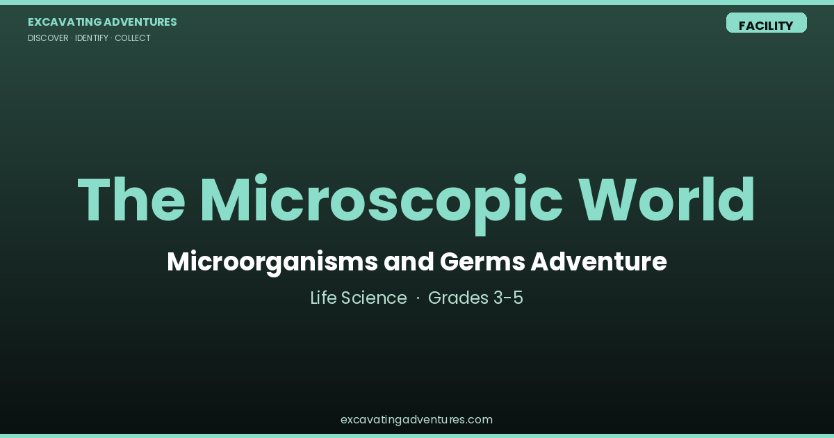The Microscopic World: Microorganisms and Germs Adventure