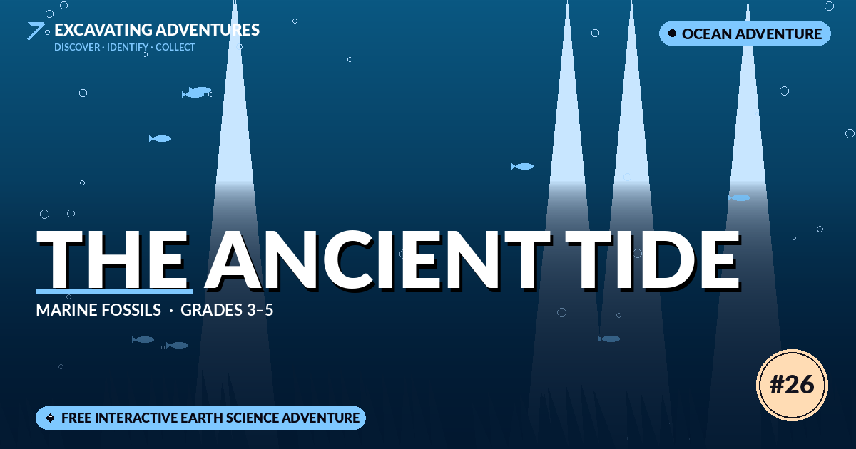 The Ancient Tide: Marine Fossils Adventure