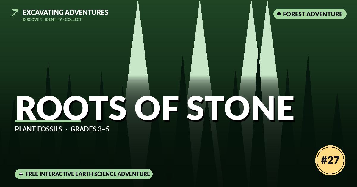 Roots of Stone: Plant Fossils Adventure