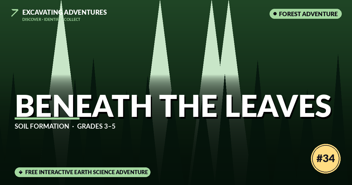 Beneath the Leaves: Soil Formation Adventure
