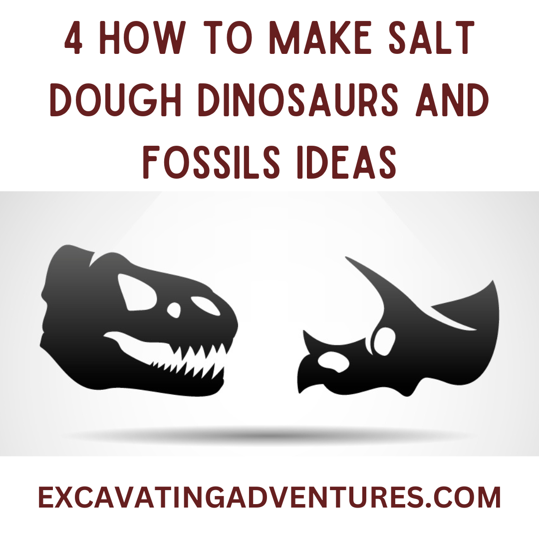 Explore 4 ideas to make salt dough dinosaurs and fossils. 