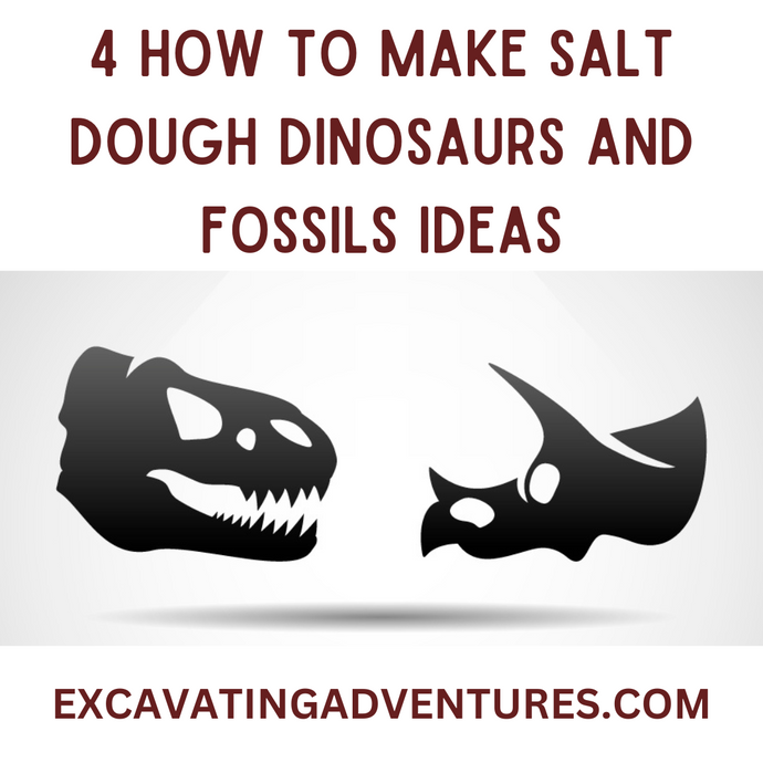 4 How To Make Salt Dough Dinosaurs and Fossils Ideas