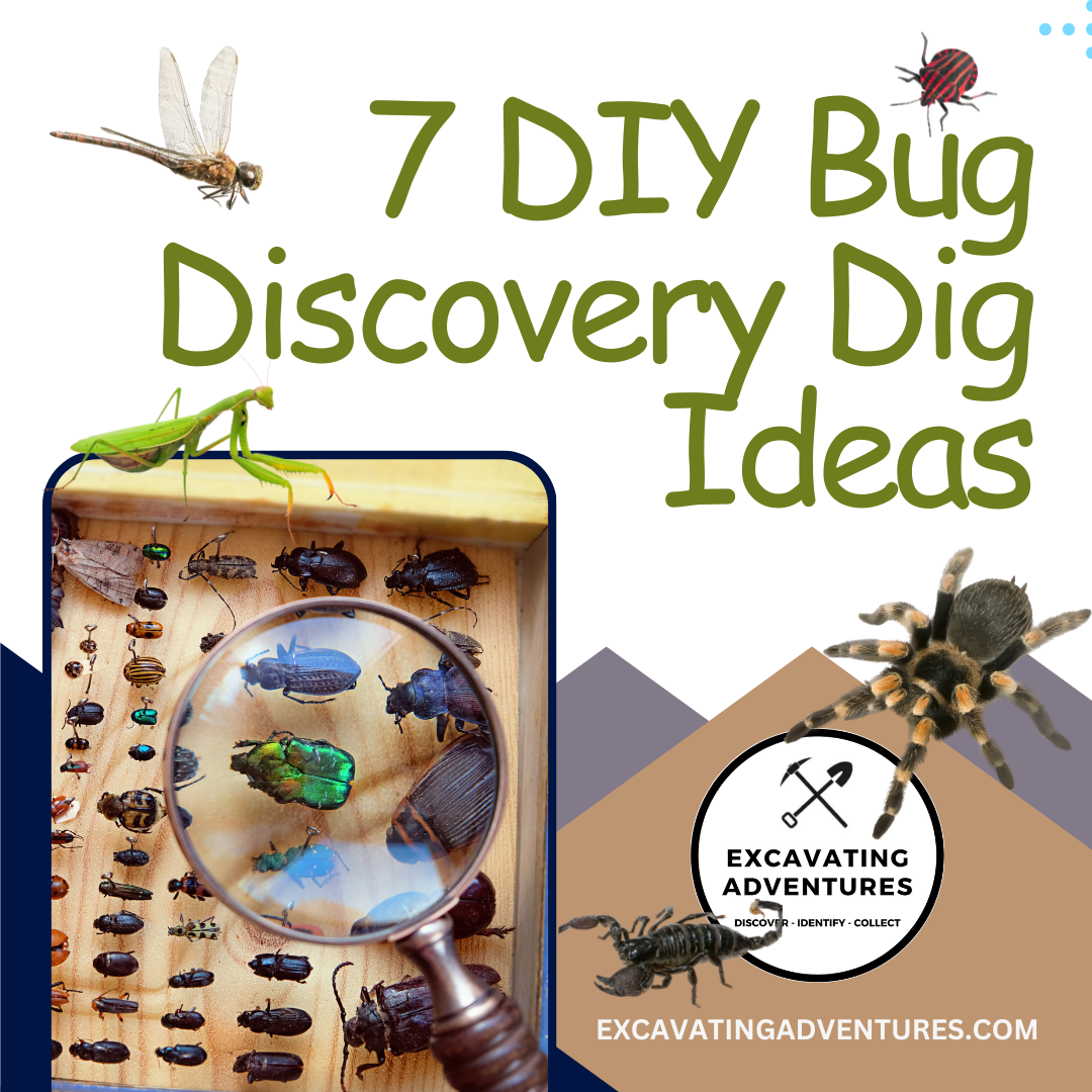 Check out our guide to making bug discovery figs at home. 