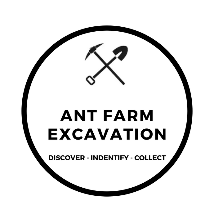 ANT FARM EXCAVATION