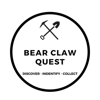 BEAR CLAW QUEST