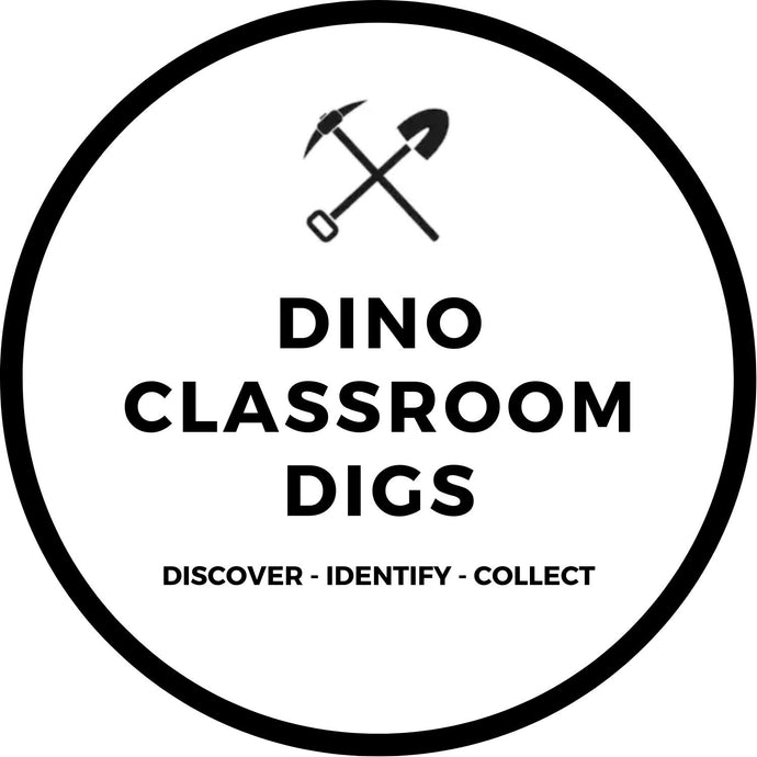 DINO CLASSROOM DIGS