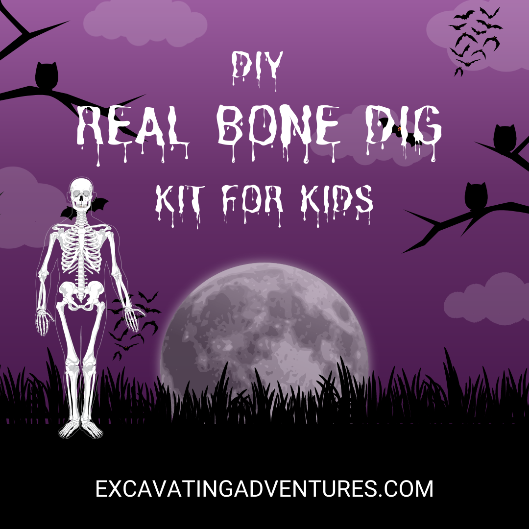 Learn how to create a DIY real bone dig kit for kids, which is an inexpensive and exciting way to send them on an educational excavation adventure to learn about bones.