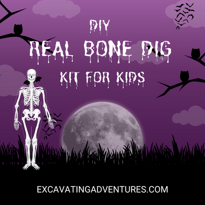 DIY Real Bone Dig Kit for Kids