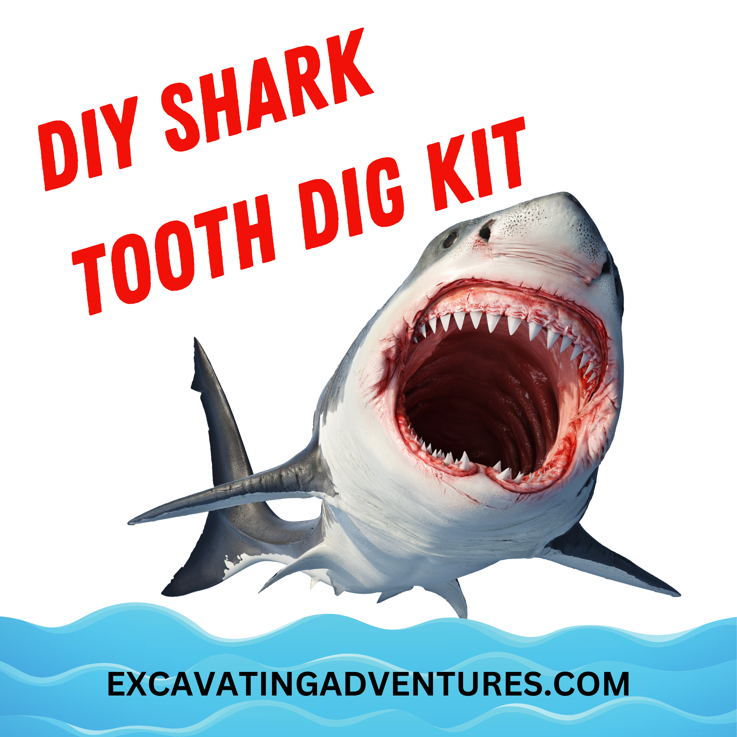 DIY Shark Tooth Dig Kit - Excavating Adventures