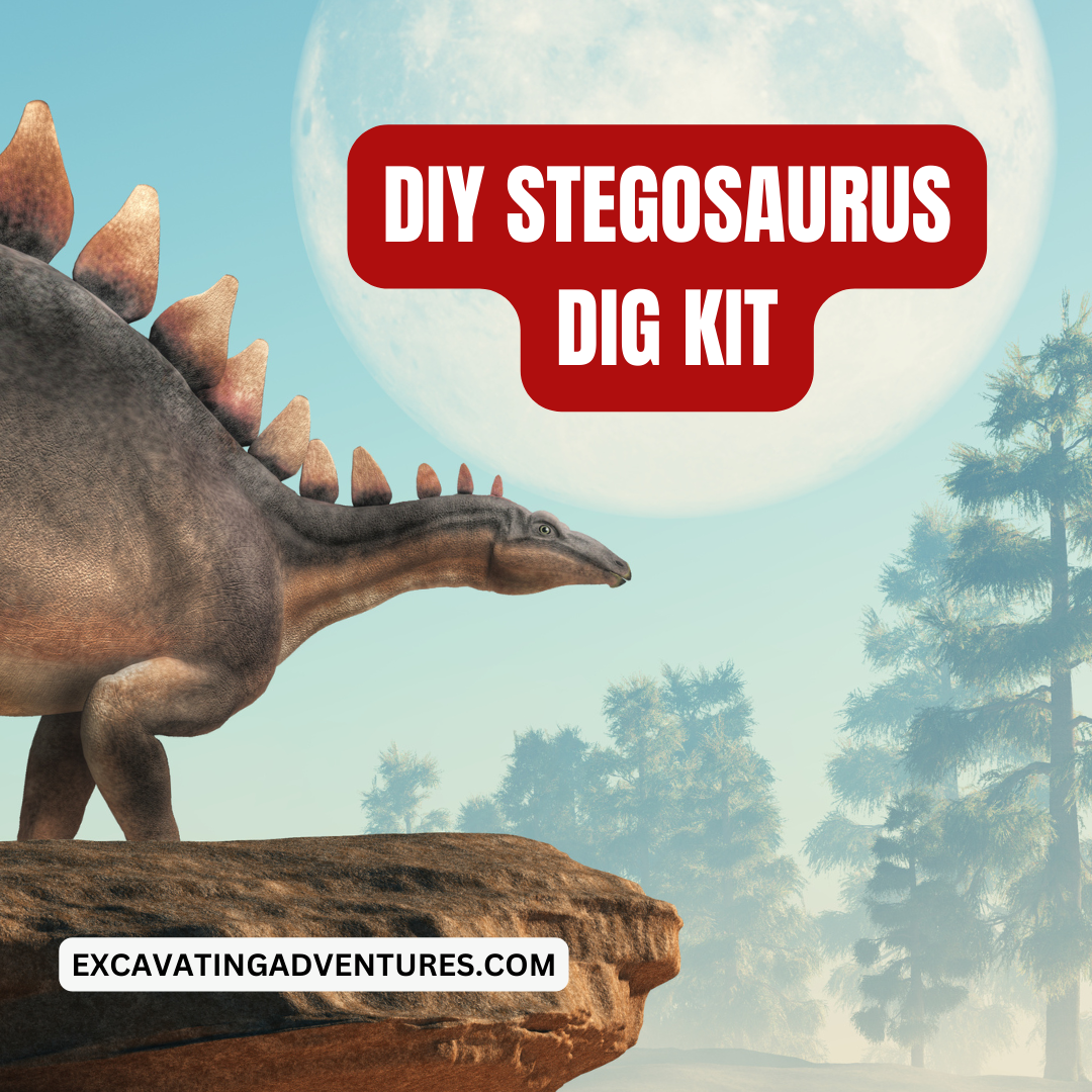 This post provides a tutorial on making a Stegosaurus Dig Kit, including materials needed and step-by-step instructions, along with fun facts about Stegosaurus.