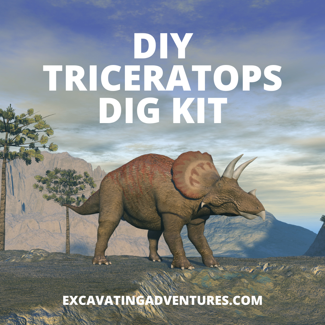 This post provides a tutorial on making a Triceratops Dig Kit, including materials needed and step-by-step instructions, along with fun facts about Triceratops.