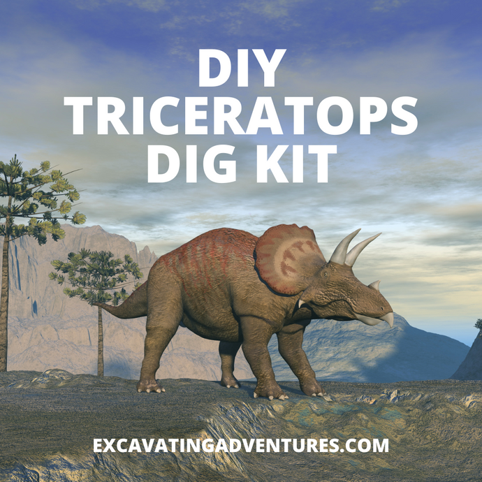DIY Triceratops Dig Kit