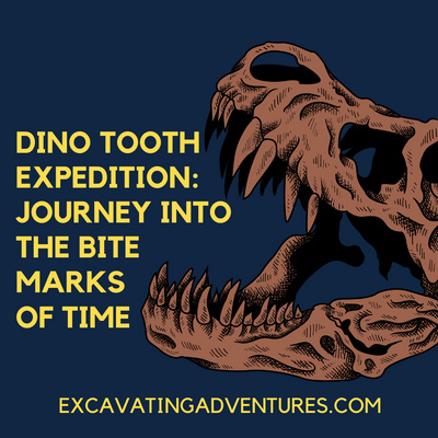 Dino Tooth Expedition: Journey into the Bite Marks of Time