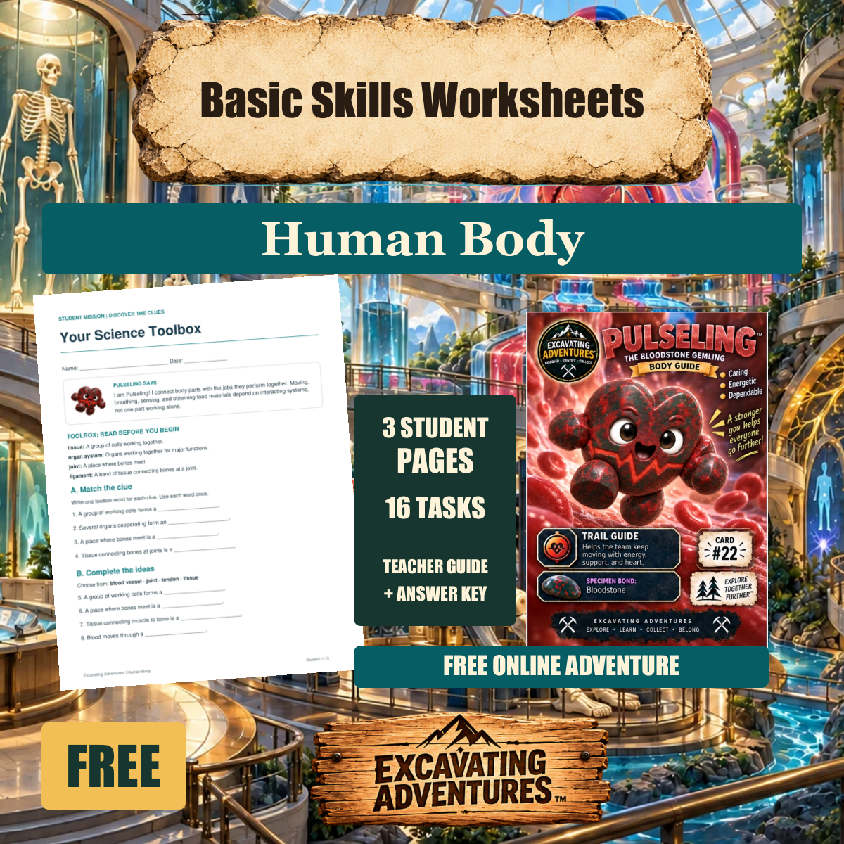 Pulseling Human Body Basic Skills Worksheets cover
