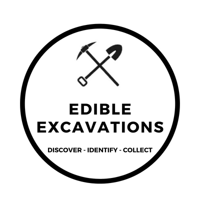 EDIBLE EXCAVATIONS
