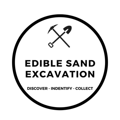 EDIBLE SAND EXCAVATION