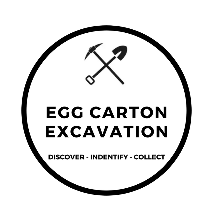 EGG CARTON EXCAVATION