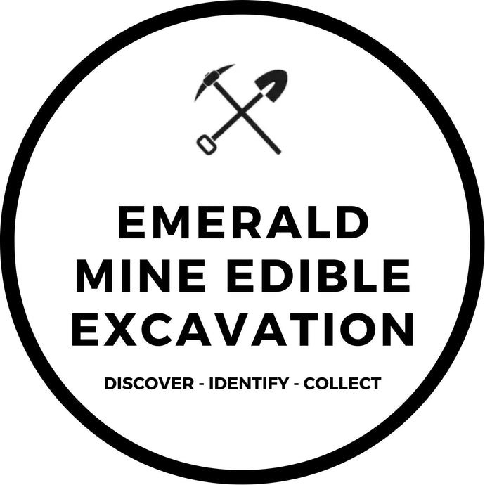 EMERALD MINE EDIBLE EXCAVATION
