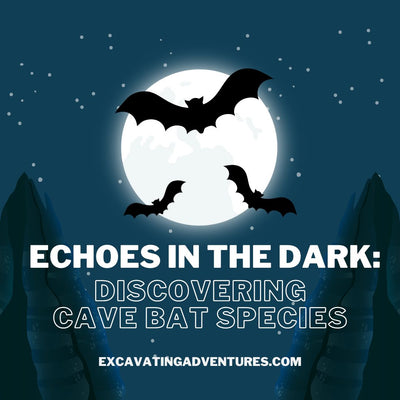 Echoes in the Dark: Discovering Cave Bat Species