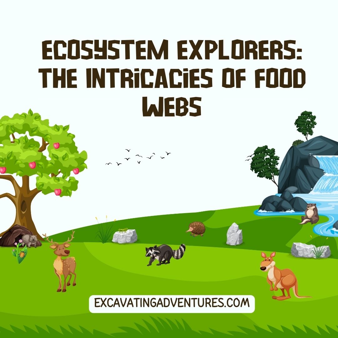 Explore the fascinating world of food chains and webs, showing how energy flows and species depend on each other in nature.