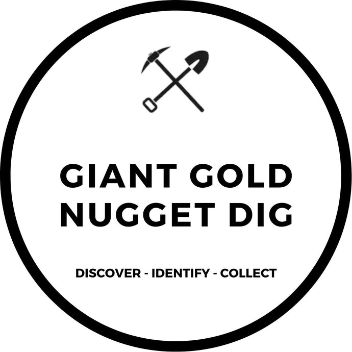 GIANT GOLD NUGGET DIG