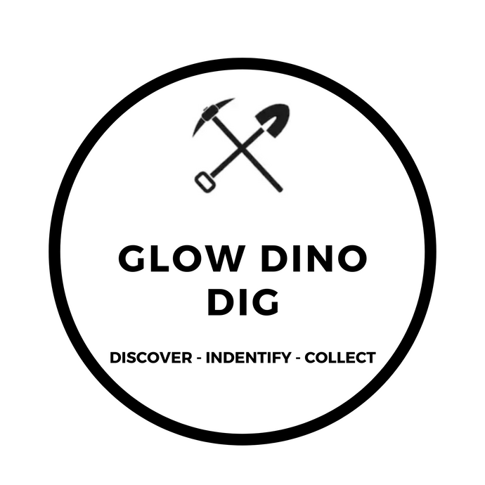 GLOW DINO DIG
