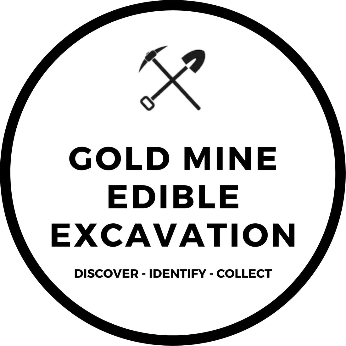 GOLD MINE EDIBLE EXCAVATION