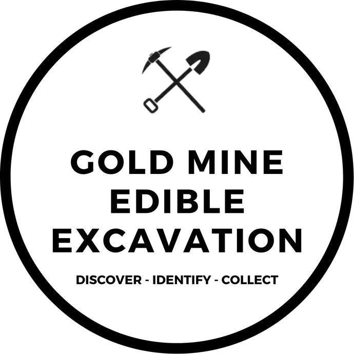 GOLD MINE EDIBLE EXCAVATION