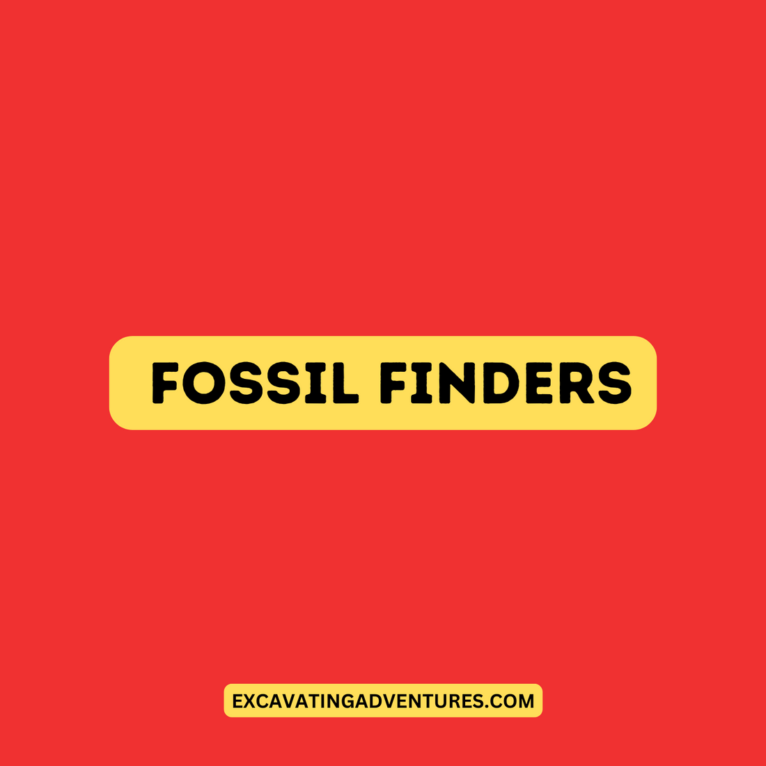 5 - Fossil Finders