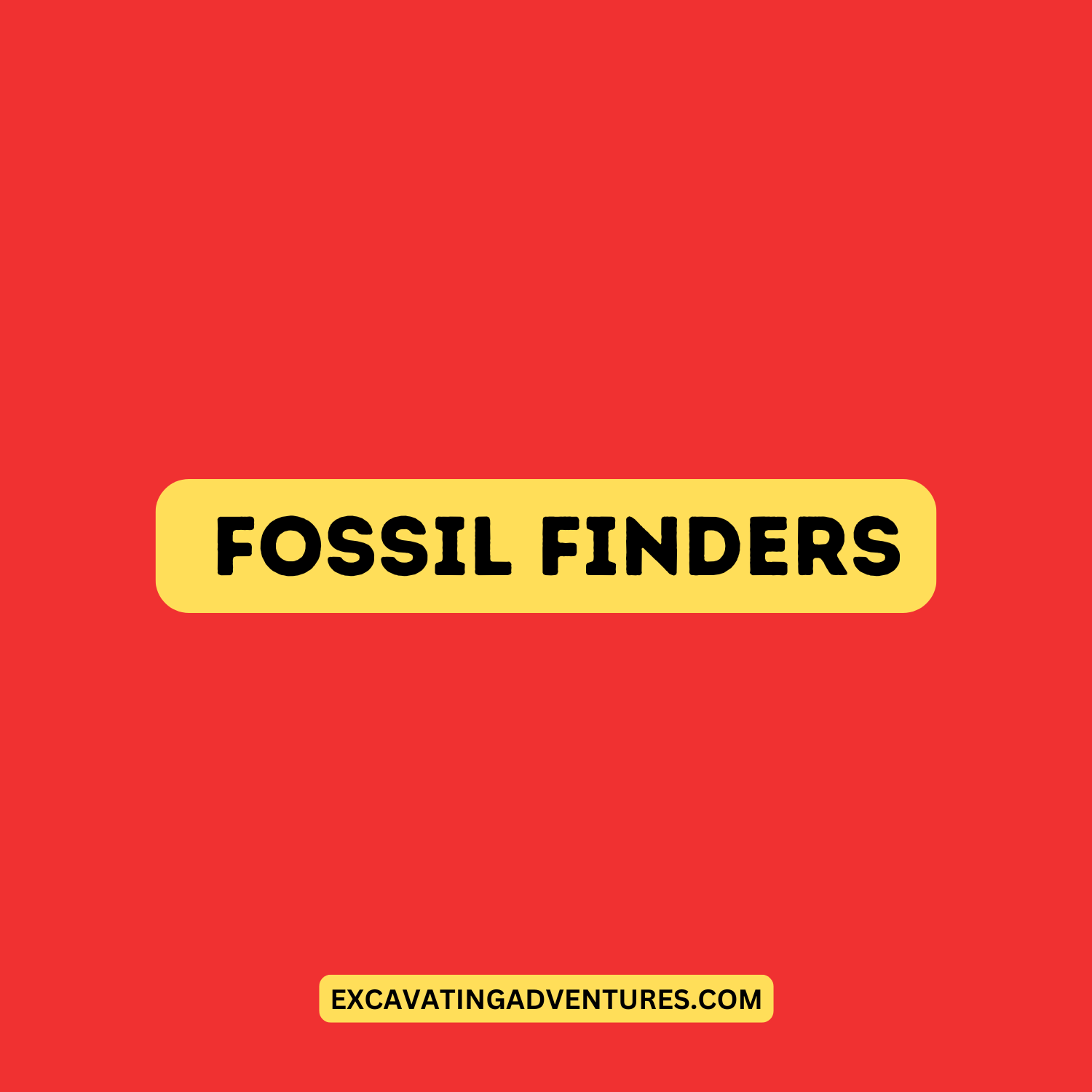 5 - Fossil Finders