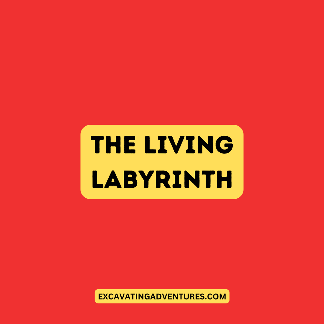 8 - The Living Labyrinth